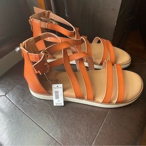 Torrid Sandals